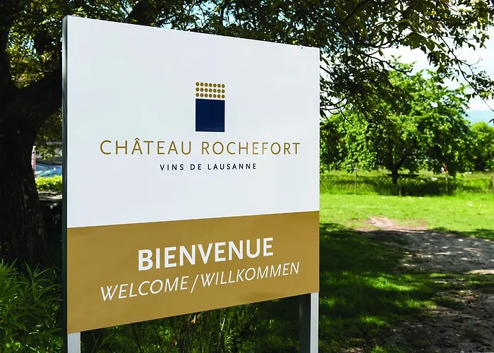 Chateau Rochefort Bed & Breakfast Allaman