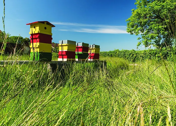 Chateau Rochefort Bed & Breakfast 4*