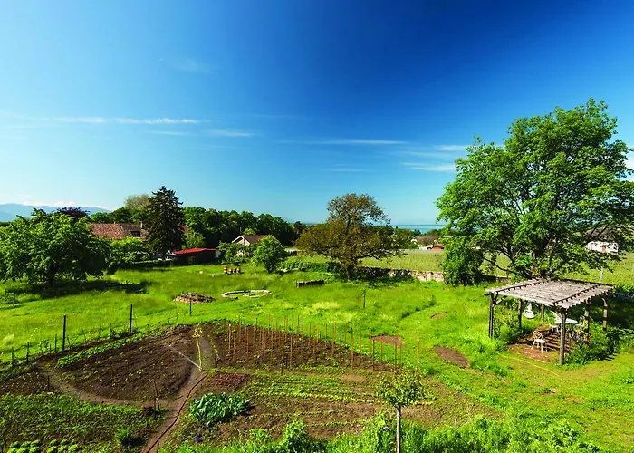 Chateau Rochefort Bed & Breakfast