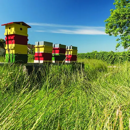 Château Rochefort Couette-café 4*