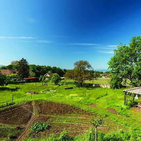 Chateau Rochefort Bed and Breakfast