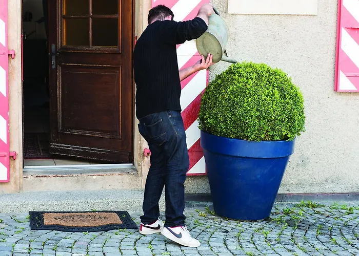 Bed & Breakfast Chateau Rochefort Allaman